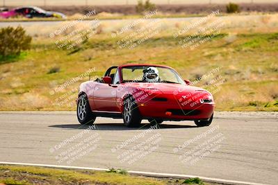media/Feb-17-2024-Extreme Speed (Sat) [[f2f02d613c]]/Green Group/Session 3 (Turn 4)/